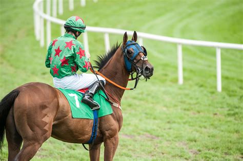 elite racing tips|Professional Winning Strategies & Punting Advice .